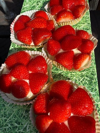 Aardbeienvlaaitje 1 pers.